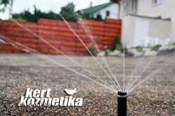 Füvesítés utáni első beöntözés (30)